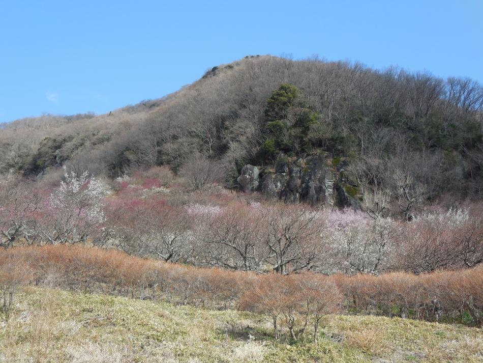 Yugawara Onsen Ryokan Uohan Exteriér fotografie